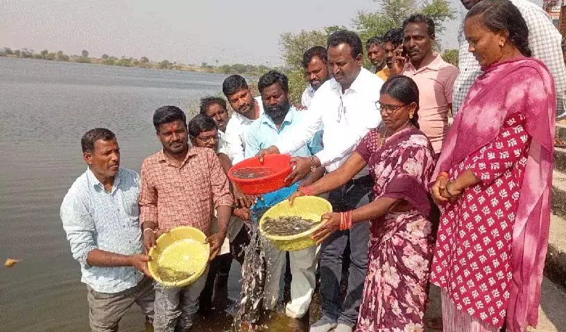 मछुआरों को कल्याणकारी योजनाओं का पूरा फायदा उठाना चाहिए: रायपोल MPDO श्रीनिवास मछुआरों को कल्याणकारी योजनाओं का पूरा फायदा उठाना चाहिए: रायपोल MPDO श्रीनिवास
