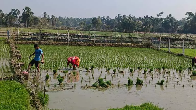 नदी की खुदाई का काम जारी, Farmer सिंचाई के पानी को लेकर चिंतित नदी की खुदाई का काम जारी, Farmer सिंचाई के पानी को लेकर चिंतित