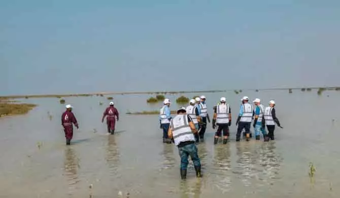 Rabigh के तटों पर लगेंगे 4 लाख मैंग्रोव; डिजिटल तकनीक से होगी निगरानी Rabigh के तटों पर लगेंगे 4 लाख मैंग्रोव; डिजिटल तकनीक से होगी निगरानी