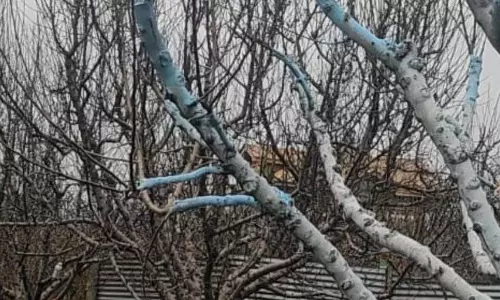 LoC से सटे इलाकों में पाकिस्तानी झंडे वाले गुब्बारे मिलने से हड़कंप, सुरक्षा एजेंसियां Alert LoC से सटे इलाकों में पाकिस्तानी झंडे वाले गुब्बारे मिलने से हड़कंप, सुरक्षा एजेंसियां Alert
