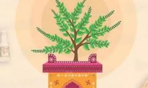 Tulsi Pujan Diwas 2025: घर में शांति चाहिए, तुलसी पूजन दिवस पर करें ये उपाय Tulsi Pujan Diwas 2025: घर में शांति चाहिए, तुलसी पूजन दिवस पर करें ये उपाय