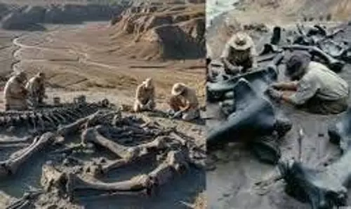 Science: डायनासोरों का कब्रिस्तान, ट्रांसिल्वेनिया के K2 साइट वैज्ञानिकों को चौंकाया Science: डायनासोरों का कब्रिस्तान, ट्रांसिल्वेनिया के K2 साइट वैज्ञानिकों को चौंकाया