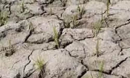 Hisar 80% डिस्ट्रिक्ट प्लान फंड खर्च नहीं हुए: रिपोर्ट Hisar 80% डिस्ट्रिक्ट प्लान फंड खर्च नहीं हुए: रिपोर्ट