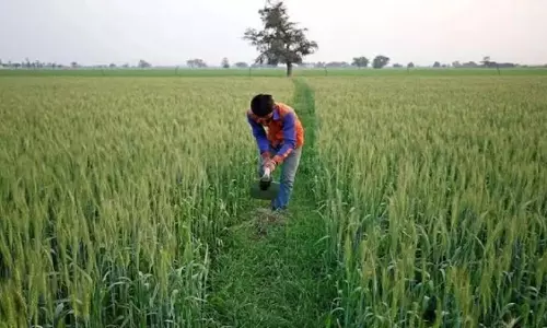 Chandigarh: फसल बीमा क्लेम लटका, सरकार पर उठे सवाल Chandigarh: फसल बीमा क्लेम लटका, सरकार पर उठे सवाल