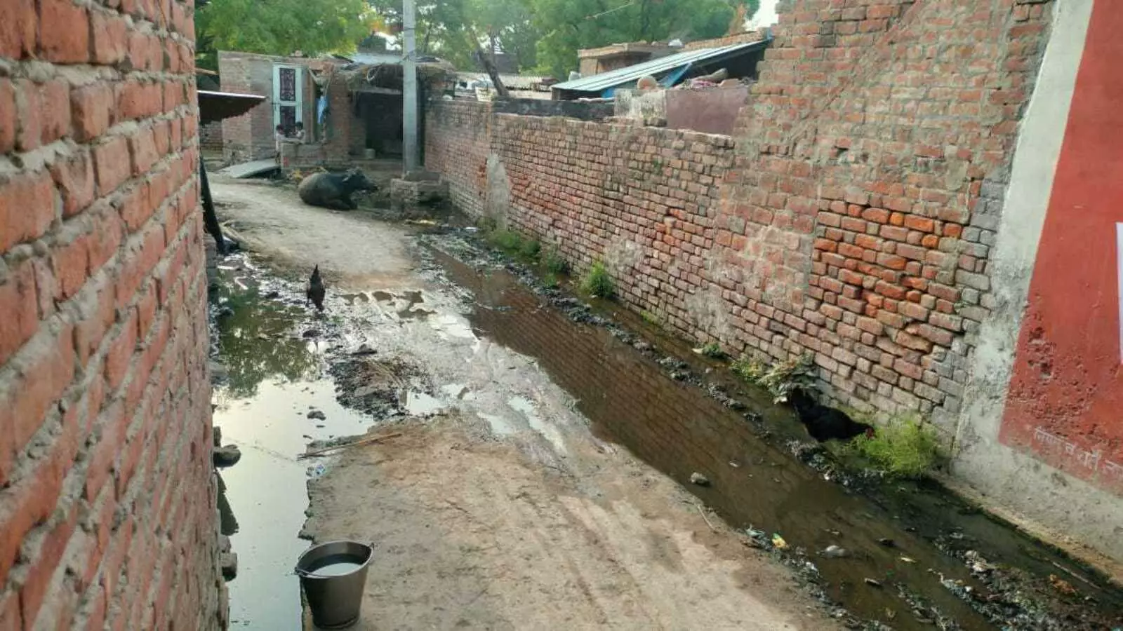 Farrukhabad: मोहल्लों में गंदगी और नालियों की अव्यवस्था बनी चिंता का कारण Farrukhabad: मोहल्लों में गंदगी और नालियों की अव्यवस्था बनी चिंता का कारण