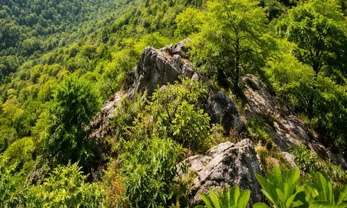 केंद्र ने अरावली को पूर्ण सुरक्षा प्रदान की, खनन और छेड़छाड़ पर रोक