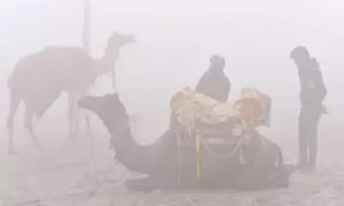 Jaipur: राजस्थान में दो दिन शीतलहर का अलर्ट, जनजीवन प्रभावित Jaipur: राजस्थान में दो दिन शीतलहर का अलर्ट, जनजीवन प्रभावित