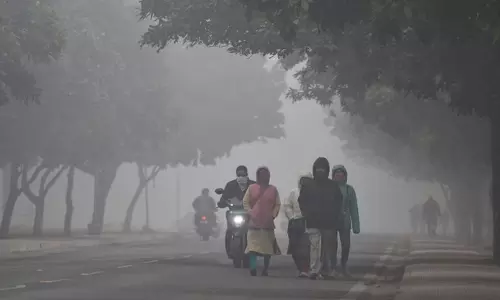पंजाब में गुरदासपुर सबसे ठंडा रहा, पारा 5.3°C तक गिरा Haryana में नारनौल में भी ठंड रही