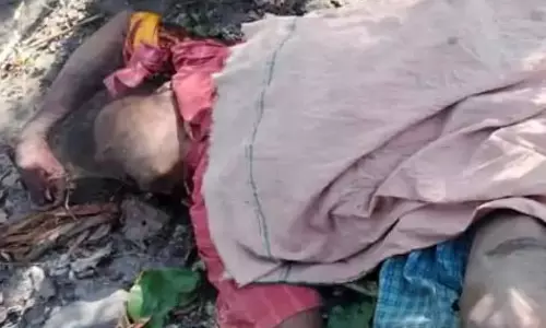 मवेशी ढूंढने निकले ग्रामीण को हाथी ने कुचला, मौत