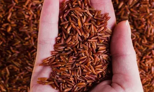 इन शानदार स्वास्थ्य फायदों के लिए White Rice की जगह रोज़ लाल चावल खाएं