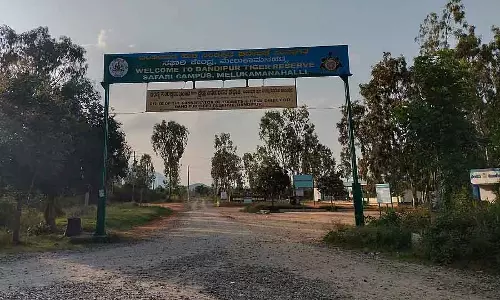 Gundlupet : मुदुमलाई सफारी में पर्यटकों का तांता लगा हुआ है Gundlupet : मुदुमलाई सफारी में पर्यटकों का तांता लगा हुआ है