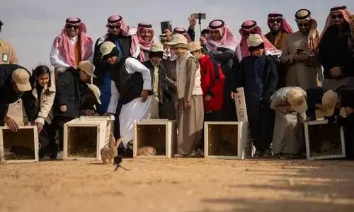 वन्यजीव संरक्षण की ओर कदम: Riyadh के पास लुप्तप्राय प्रजातियों की प्राकृतिक आवास में वापसी वन्यजीव संरक्षण की ओर कदम: Riyadh के पास लुप्तप्राय प्रजातियों की प्राकृतिक आवास में वापसी