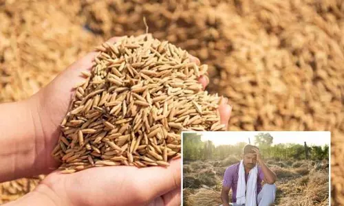 Gondia में करोड़ों रुपये का धान घोटाला सामने आया; फर्जी किसानों को बोनस दिया गया Gondia में करोड़ों रुपये का धान घोटाला सामने आया; फर्जी किसानों को बोनस दिया गया