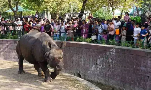 Hyderabad ज़ू में क्रिसमस का नया रिकॉर्ड, 23,000 से अधिक लोगों की एंट्री Hyderabad ज़ू में क्रिसमस का नया रिकॉर्ड, 23,000 से अधिक लोगों की एंट्री