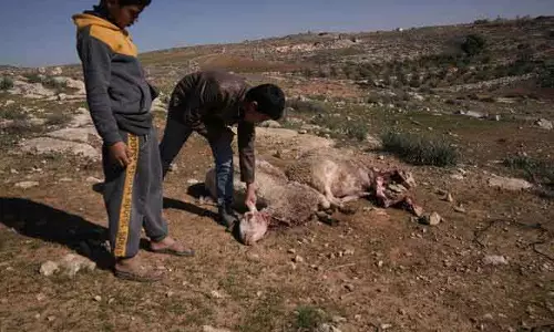 West Bank हमला: 8 महीने की बच्ची को घायल करने के आरोप में 5 इजराइली गिरफ्तार West Bank हमला: 8 महीने की बच्ची को घायल करने के आरोप में 5 इजराइली गिरफ्तार