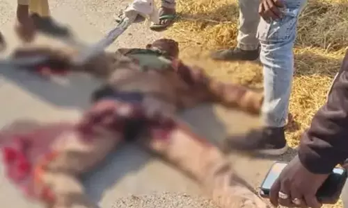 CG: सनवाल में भीषण सड़क हादसा, बाइक–ट्रैक्टर टक्कर में दो युवकों की मौत