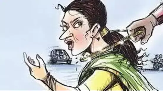 city में स्नैचिंग का नया मामला सामने आने के बाद पुलिस महिलाओं के गैंग की तलाश कर रही city में स्नैचिंग का नया मामला सामने आने के बाद पुलिस महिलाओं के गैंग की तलाश कर रही