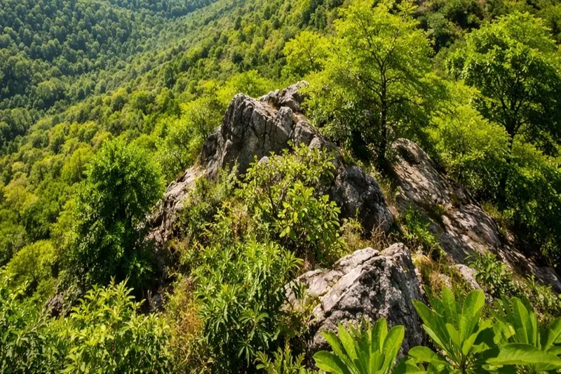 केंद्र ने अरावली को पूर्ण सुरक्षा प्रदान की, खनन और छेड़छाड़ पर रोक केंद्र ने अरावली को पूर्ण सुरक्षा प्रदान की, खनन और छेड़छाड़ पर रोक