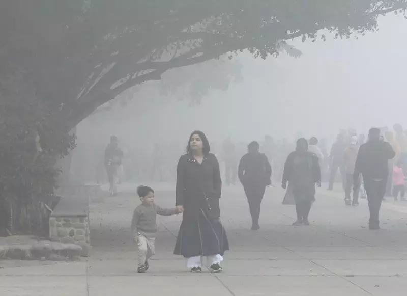पंजाब, Haryana में कड़ाके की ठंड पड़ रही पंजाब, Haryana में कड़ाके की ठंड पड़ रही