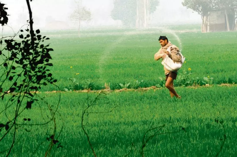 Haryana : एग्री स्टैक पहल के तहत किसानों को यूनिक आईडी मिलेंगी Haryana : एग्री स्टैक पहल के तहत किसानों को यूनिक आईडी मिलेंगी