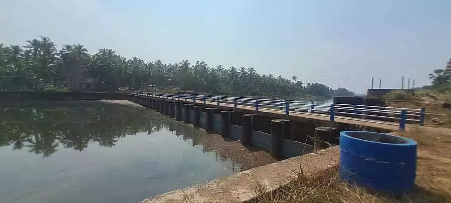 Brahmavar : पानी का स्तर गिरने से किसान परेशान Brahmavar : पानी का स्तर गिरने से किसान परेशान