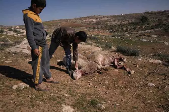 West Bank हमला: 8 महीने की बच्ची को घायल करने के आरोप में 5 इजराइली गिरफ्तार West Bank हमला: 8 महीने की बच्ची को घायल करने के आरोप में 5 इजराइली गिरफ्तार