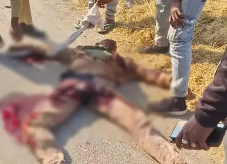 CG: सनवाल में भीषण सड़क हादसा, बाइक–ट्रैक्टर टक्कर में दो युवकों की मौत CG: सनवाल में भीषण सड़क हादसा, बाइक–ट्रैक्टर टक्कर में दो युवकों की मौत