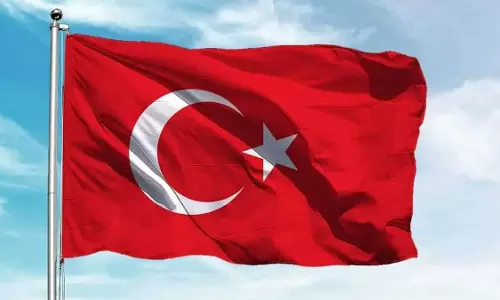 Turkey ने छुट्टियों में होने वाले हमलों से पहले छापे में 100 से ज़्यादा IS संदिग्धों को हिरासत में