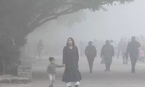 Punjab , हरियाणा में कड़ाके की ठंड पड़ रही