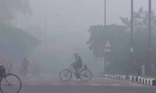 Punjab, हरियाणा में कड़ाके की ठंड पड़ रही है