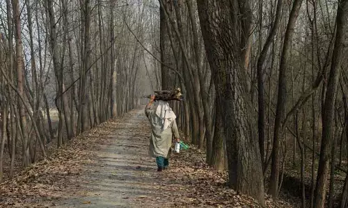 Kashmir में रातें शून्य से नीचे, लद्दाख में तापमान माइनस 9.8°C