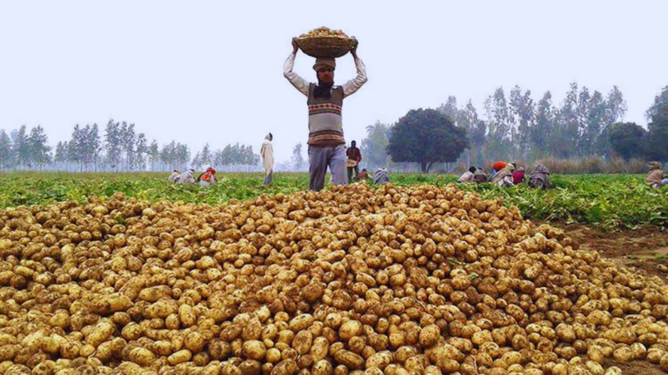 Farrukhabad: किसानों के लिए कीमतों में मामूली राहत