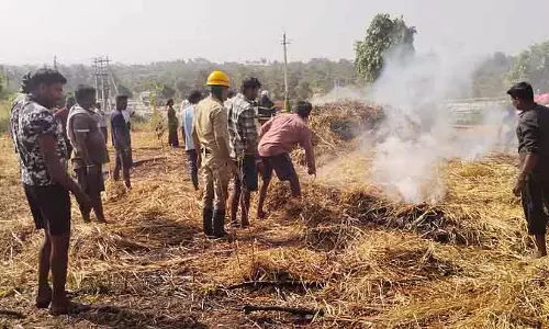 Ramnagar : बदमाशों ने बाजरे के खेत में आग लगा दी Ramnagar : बदमाशों ने बाजरे के खेत में आग लगा दी