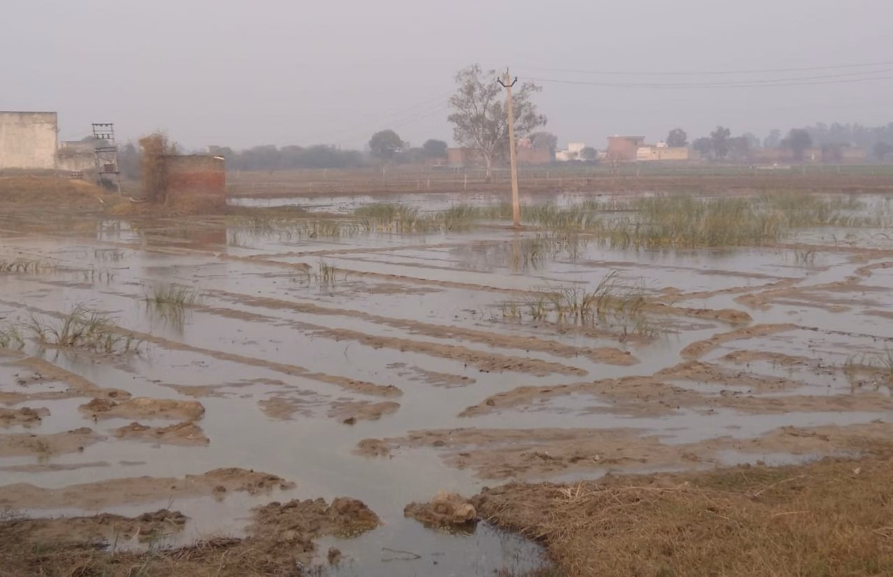 Bhiwani: ढाई करोड़ की परियोजना से जलभराव की समस्या कम होगी
