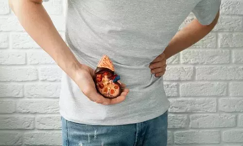 Kidney Stone कैसे बनते हैं और इसके क्या लक्षण हैं?