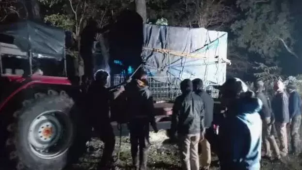 Wayanad में आदमखोर बाघ को पिंजरे में बंद किया गया, उसे जंगल में नहीं छोड़ा जाएगा