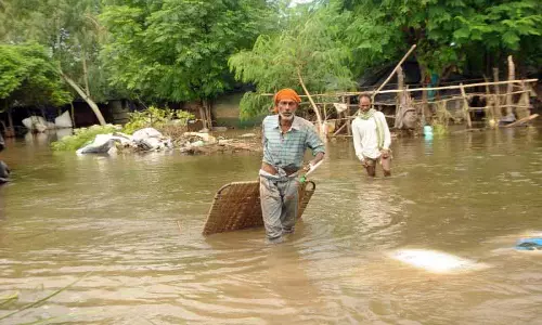 Amritsar: रवि दहाड़ा, बाढ़ के पानी के ऊपर लचीलापन उभर आया Amritsar: रवि दहाड़ा, बाढ़ के पानी के ऊपर लचीलापन उभर आया