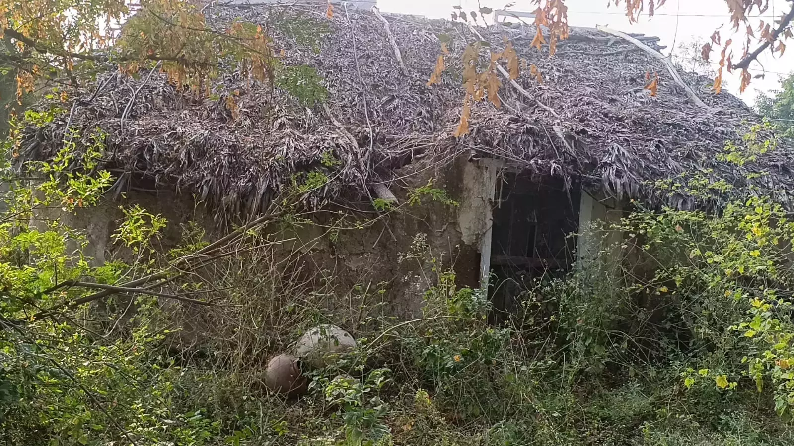 मारे गए माओवादी नेता ने college के दिनों से ही वामपंथी विचारधारा अपना ली थी मारे गए माओवादी नेता ने college के दिनों से ही वामपंथी विचारधारा अपना ली थी