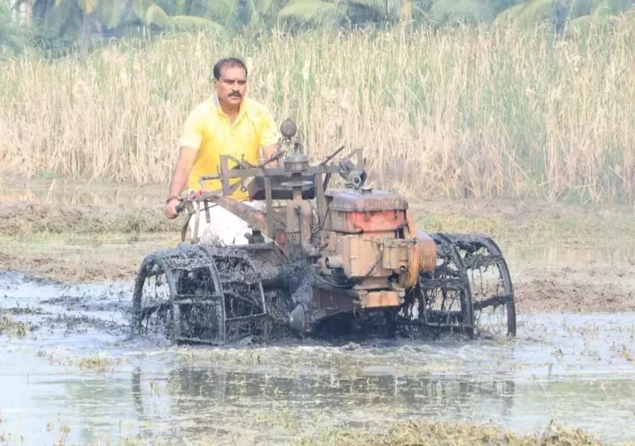 Andhra : त्योहार की छुट्टियों के दौरान निम्मला खेती में लग जाती