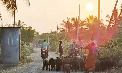 Karnataka : ठंड के मौसम में लोग कांप रहे हैं Karnataka : ठंड के मौसम में लोग कांप रहे हैं