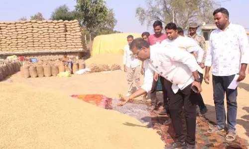 धान खरीदी केन्द्रों का कलेक्टर ने किया औचक निरीक्षण
