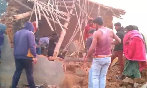 Odisha के बोलांगीर में हाथी के हमले में एक महिला की मौत, दो घायल