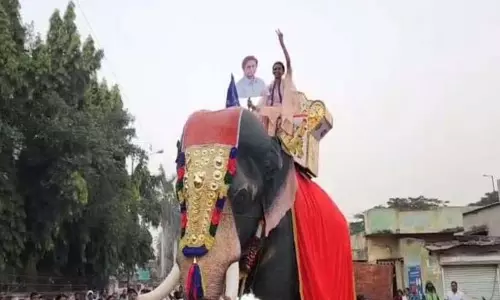 Baramati में संघमित्रा चमकीं, कार्यकर्ता हाथियों पर सवार होकर निकले