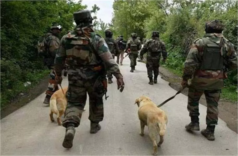 Jammu-Kashmir: आतंकी की मूवमेंट से हड़कंप, इलाके में घेराबंदी Jammu-Kashmir: आतंकी की मूवमेंट से हड़कंप, इलाके में घेराबंदी