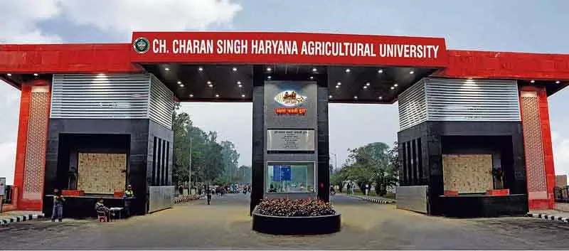 Hisar HAU में महिला वैज्ञानिकों के उत्पीड़न की जांच, एक की मौत की बाहरी जांच की मांग Hisar HAU में महिला वैज्ञानिकों के उत्पीड़न की जांच, एक की मौत की बाहरी जांच की मांग