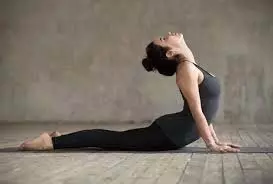 Weight Loss: बिना जिम वजन घटाना है? रोज करें ये योगासन, असर खुद दिखेगा Weight Loss: बिना जिम वजन घटाना है? रोज करें ये योगासन, असर खुद दिखेगा