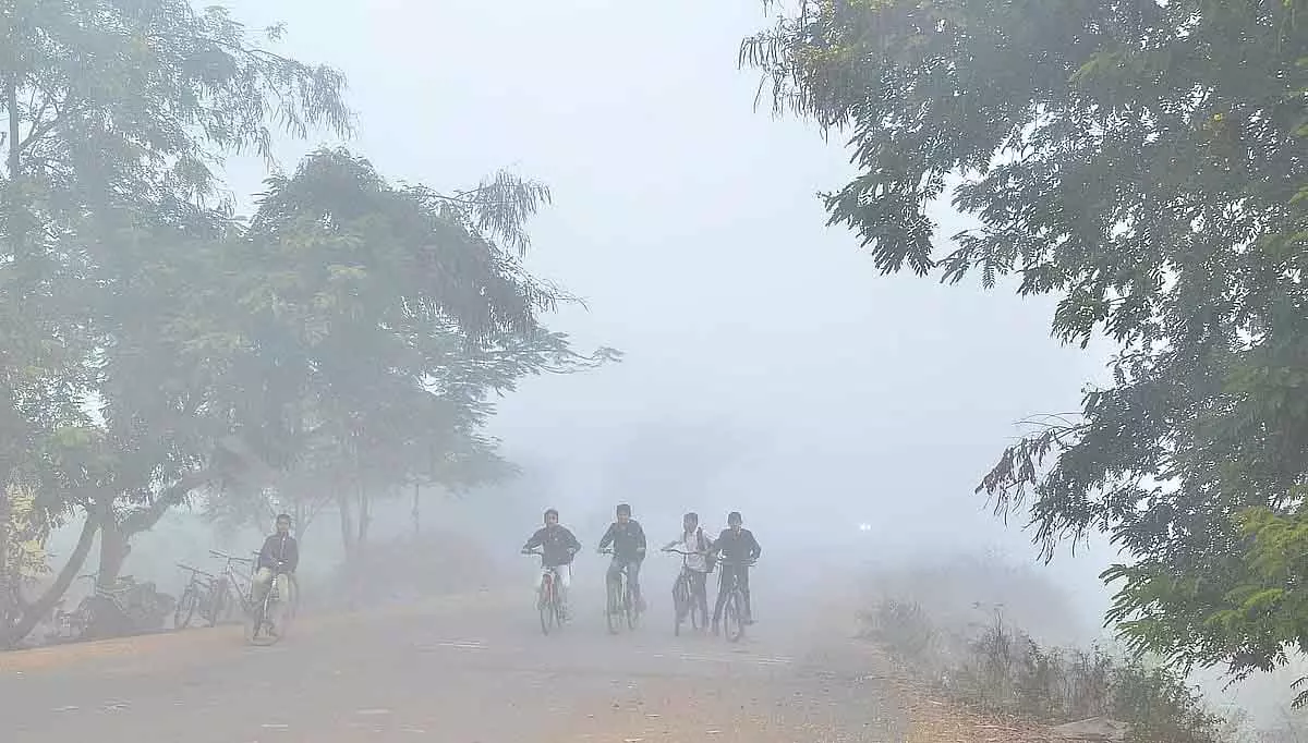 MP : राज्य में कड़ाके की ठंड और घना कोहरा MP : राज्य में कड़ाके की ठंड और घना कोहरा