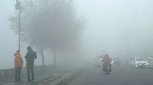 Chandigarh: कोहरे और शीतलहर से यातायात प्रभावित Chandigarh: कोहरे और शीतलहर से यातायात प्रभावित