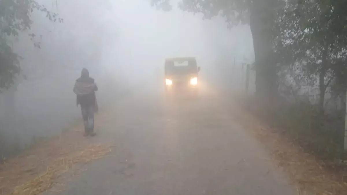Mohammadabad: हादसे में युवक की मौत, हादसे का कारण कोहरा Mohammadabad: हादसे में युवक की मौत, हादसे का कारण कोहरा
