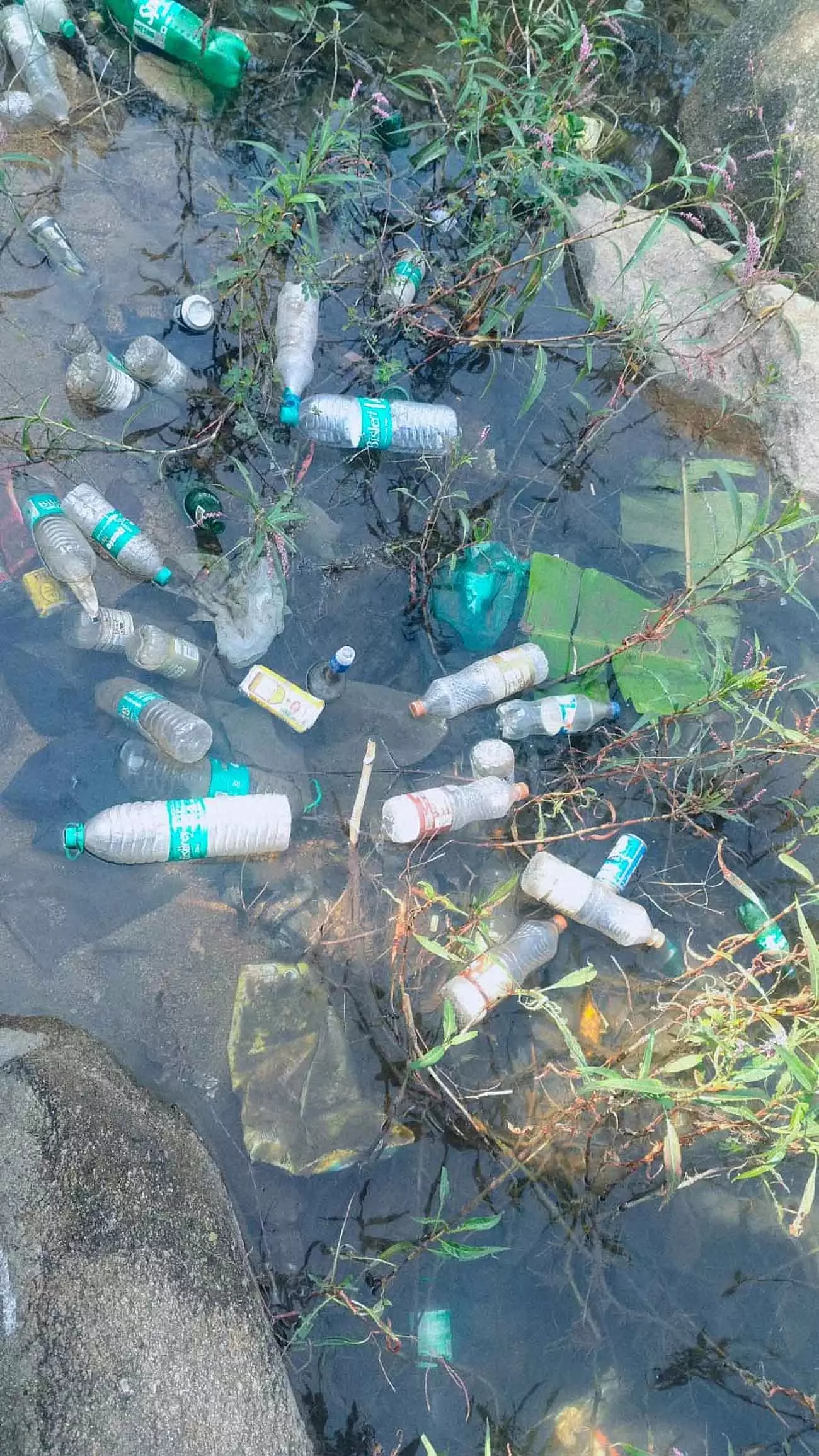 Gauribidanur : वटादोसाहल्ली झील, शराबियों के लिए एक सुरक्षित जगह Gauribidanur : वटादोसाहल्ली झील, शराबियों के लिए एक सुरक्षित जगह